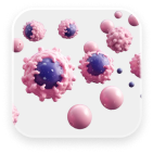 3D Cells Image