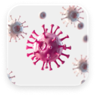Immunotherapy for Cancer