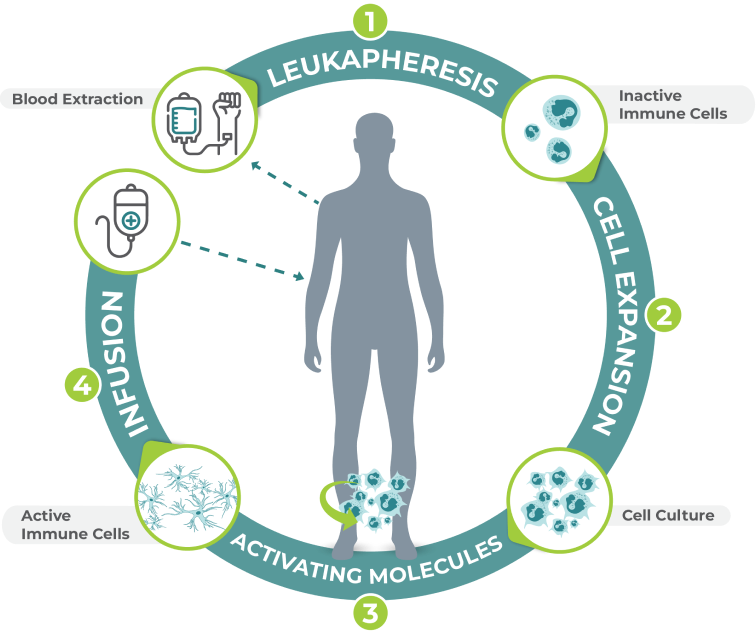 Immunotherapy Process