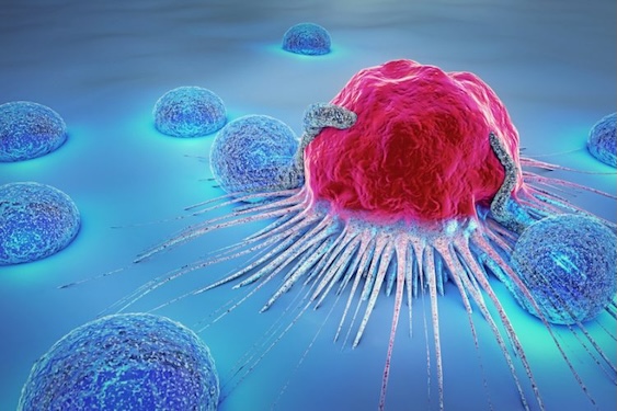 nk cell